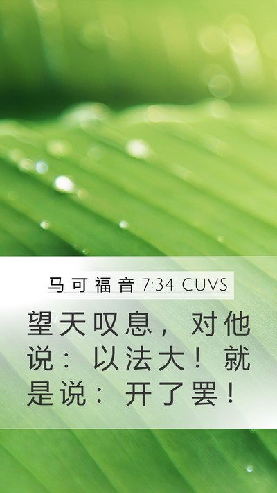 马 可 福 音 7:34 CUVS Bible Verse Image