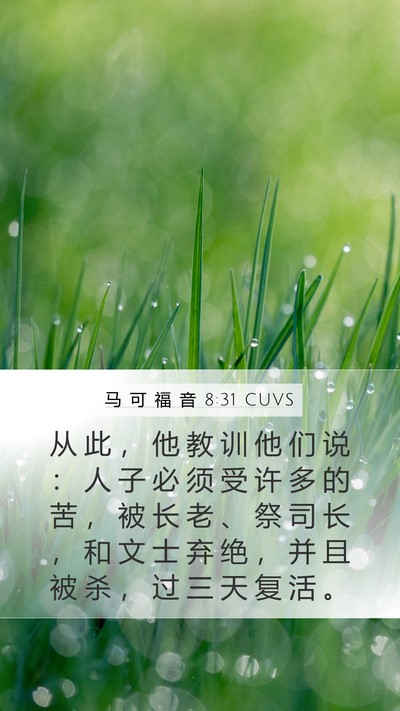 马 可 福 音 8:31 CUVS Bible Verse Image
