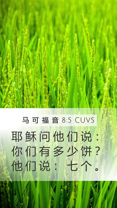 马 可 福 音 8:5 CUVS Bible Verse Image