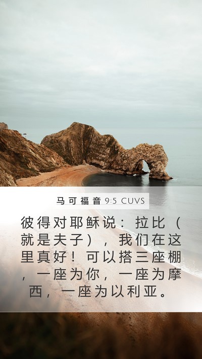 马 可 福 音 9:5 CUVS Bible Verse Image