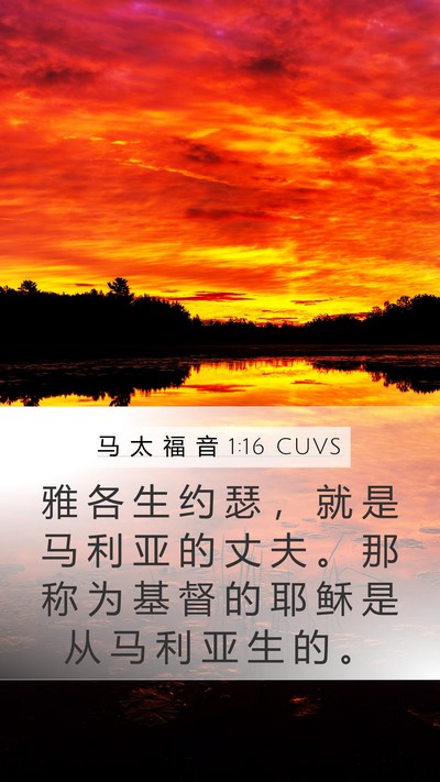 马 太 福 音 1:16 CUVS Bible Verse Image