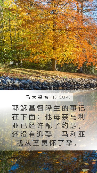 马 太 福 音 1:18 CUVS Bible Verse Image