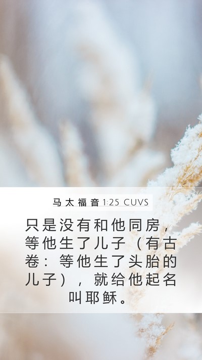 马 太 福 音 1:25 CUVS Bible Verse Image