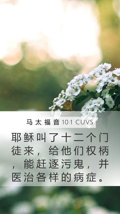 马 太 福 音 10:1 CUVS Bible Verse Image