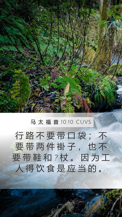 马 太 福 音 10:10 CUVS Bible Verse Image