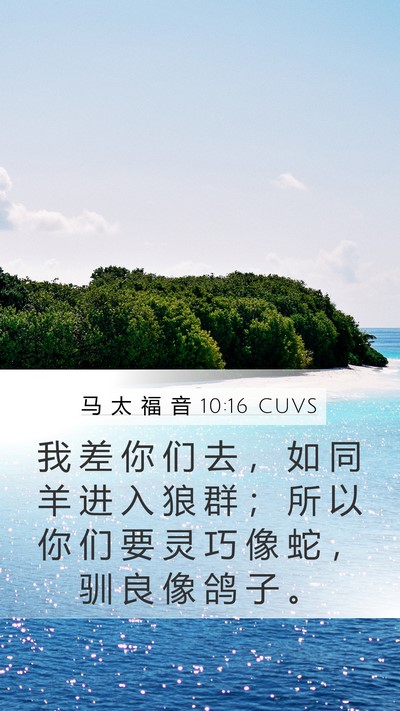 马 太 福 音 10:16 CUVS Bible Verse Image