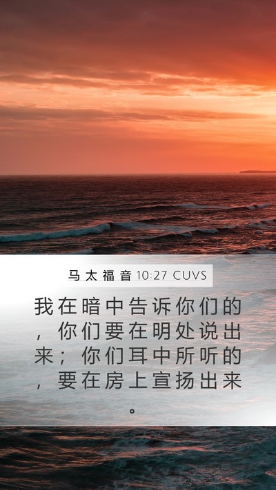 马 太 福 音 10:27 CUVS Bible Verse Image