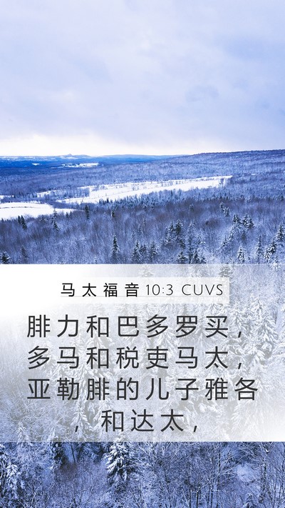 马 太 福 音 10:3 CUVS Bible Verse Image