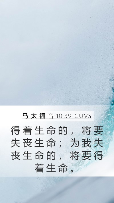 马 太 福 音 10:39 CUVS Bible Verse Image