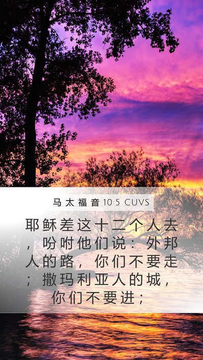 马 太 福 音 10:5 CUVS Bible Verse Image