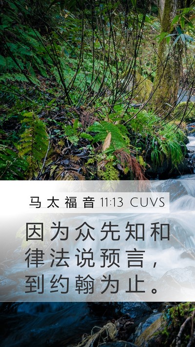 马 太 福 音 11:13 CUVS Bible Verse Image