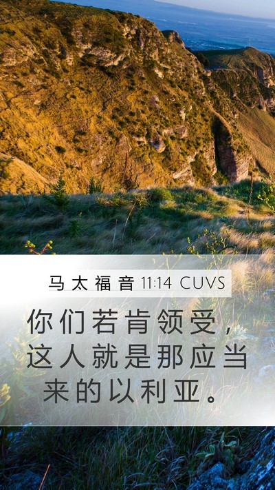 马 太 福 音 11:14 CUVS Bible Verse Image