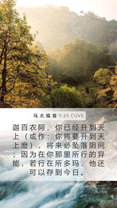 马 太 福 音 11:23 CUVS Bible Verse Image