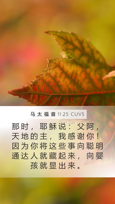 马 太 福 音 11:25 CUVS Bible Verse Image
