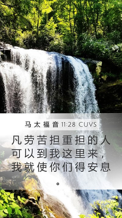 马 太 福 音 11:28 CUVS Bible Verse Image