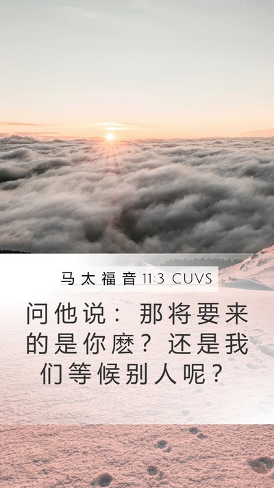 马 太 福 音 11:3 CUVS Bible Verse Image
