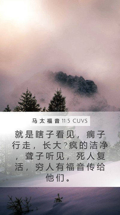 马 太 福 音 11:5 CUVS Bible Verse Image