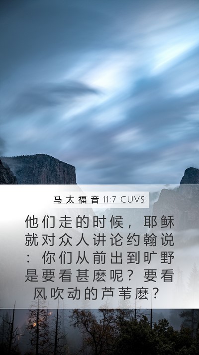 马 太 福 音 11:7 CUVS Bible Verse Image