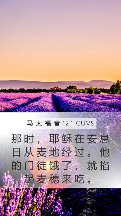 马 太 福 音 12:1 CUVS Bible Verse Image
