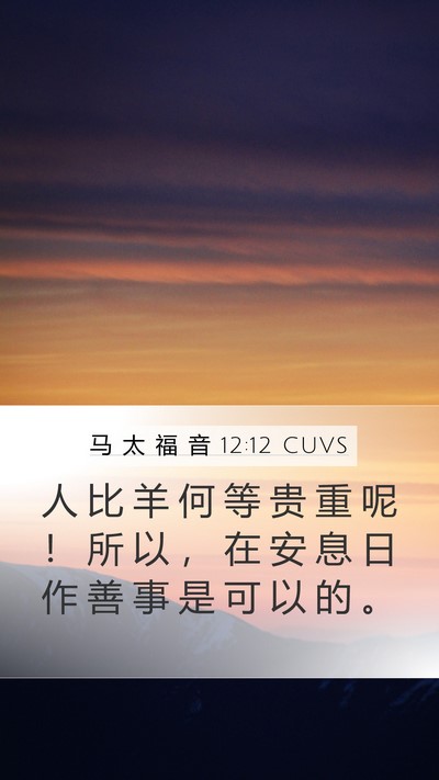 马 太 福 音 12:12 CUVS Bible Verse Image