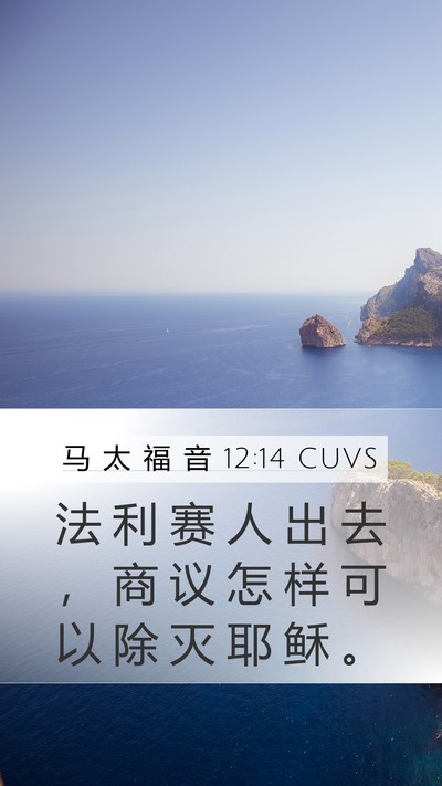 马 太 福 音 12:14 CUVS Bible Verse Image