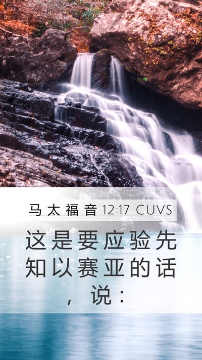 马 太 福 音 12:17 CUVS Bible Verse Image