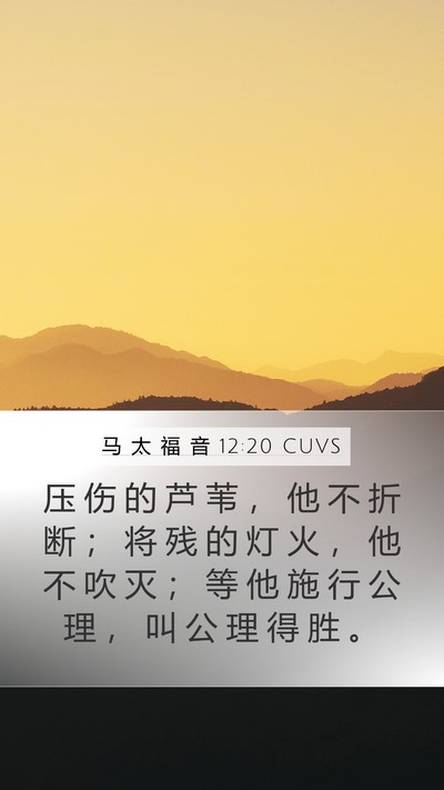 马 太 福 音 12:20 CUVS Bible Verse Image