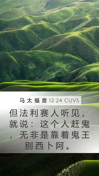 马 太 福 音 12:24 CUVS Bible Verse Image