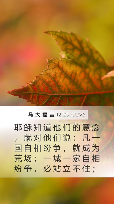 马 太 福 音 12:25 CUVS Bible Verse Image