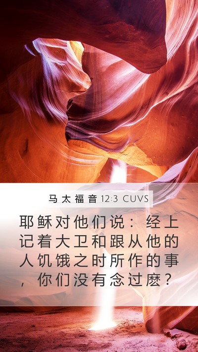 马 太 福 音 12:3 CUVS Mobile Phone Wallpaper - 耶 稣 对 他 们 说 ： 经 上 记 着 大 - Mobile Bible Verse Wallpaper