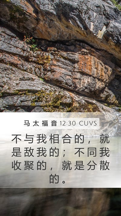 马 太 福 音 12:30 CUVS Bible Verse Image