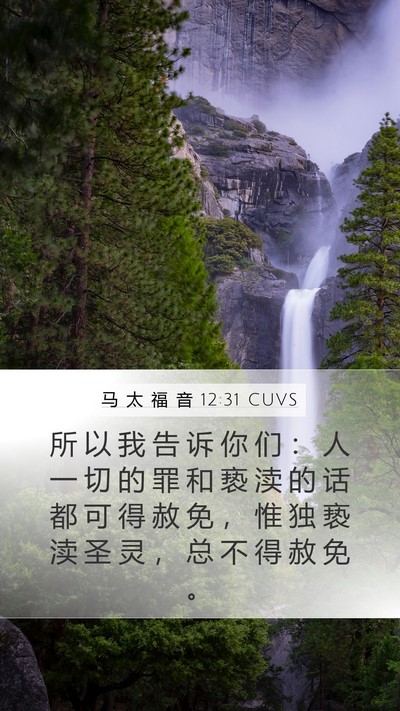 马 太 福 音 12:31 CUVS Bible Verse Image