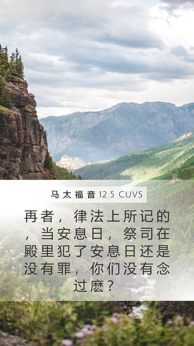 马 太 福 音 12:5 CUVS Bible Verse Image