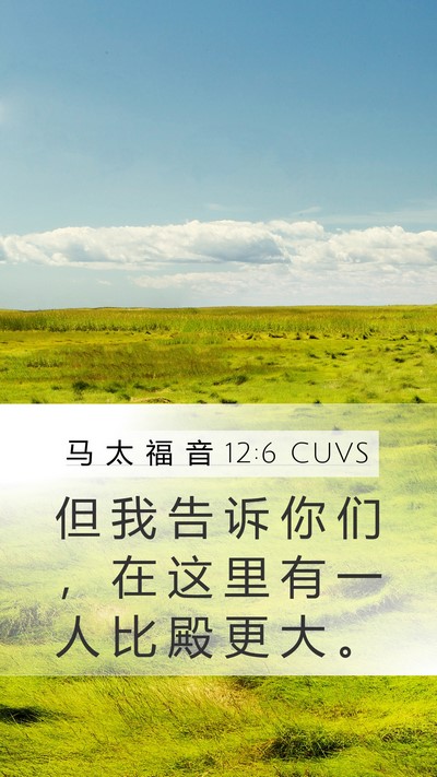 马 太 福 音 12:6 CUVS Bible Verse Image