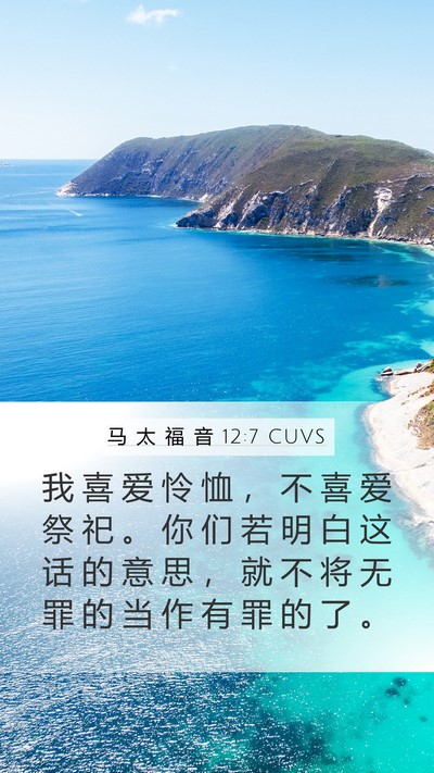 马 太 福 音 12:7 CUVS Bible Verse Image
