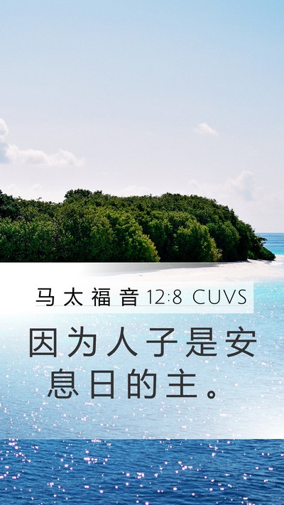 马 太 福 音 12:8 CUVS Bible Verse Image