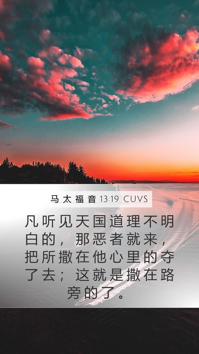 马 太 福 音 13:19 CUVS Bible Verse Image