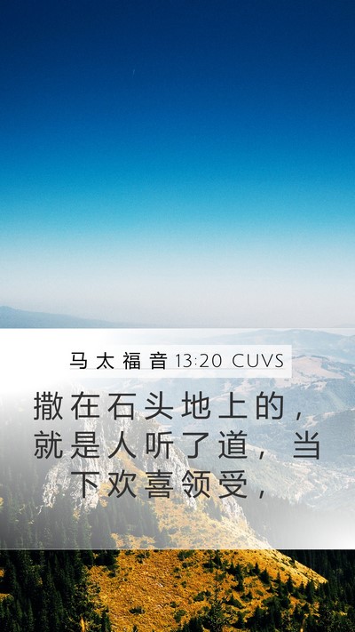马 太 福 音 13:20 CUVS Bible Verse Image