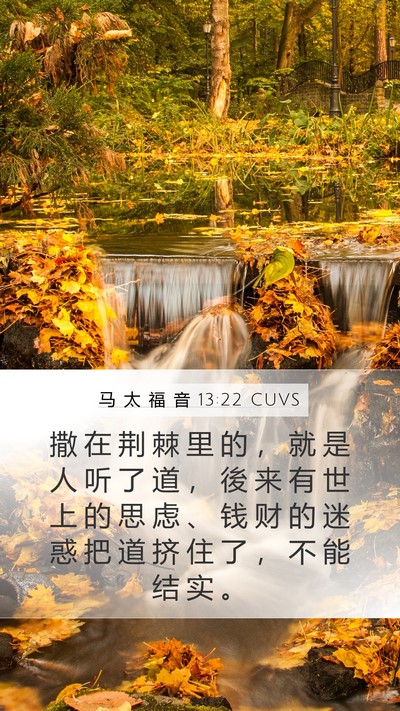 马 太 福 音 13:22 CUVS Bible Verse Image