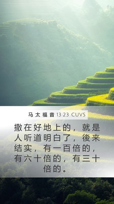 马 太 福 音 13:23 CUVS Bible Verse Image