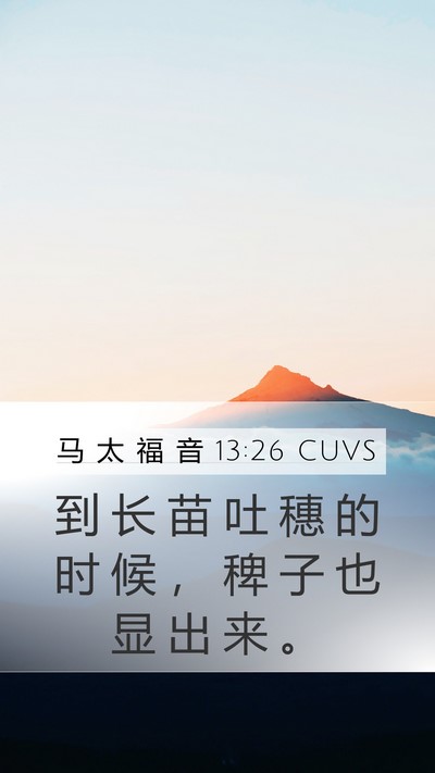 马 太 福 音 13:26 CUVS Bible Verse Image