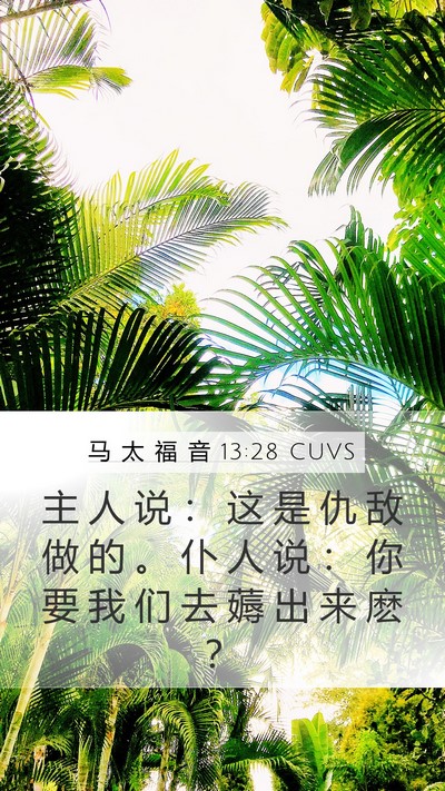 马 太 福 音 13:28 CUVS Mobile Phone Wallpaper - 主 人 说 ： 这 是 仇 敌 做 的 。 仆 - Mobile Bible Verse Wallpaper