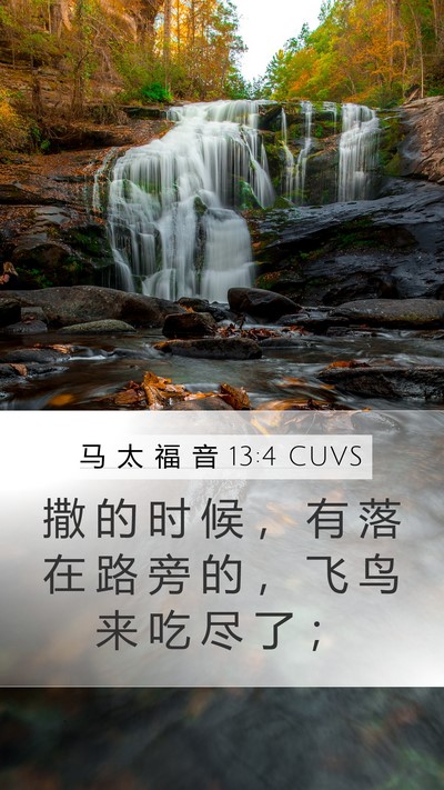 马 太 福 音 13:4 CUVS Bible Verse Image