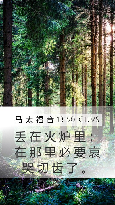 马 太 福 音 13:50 CUVS Bible Verse Image