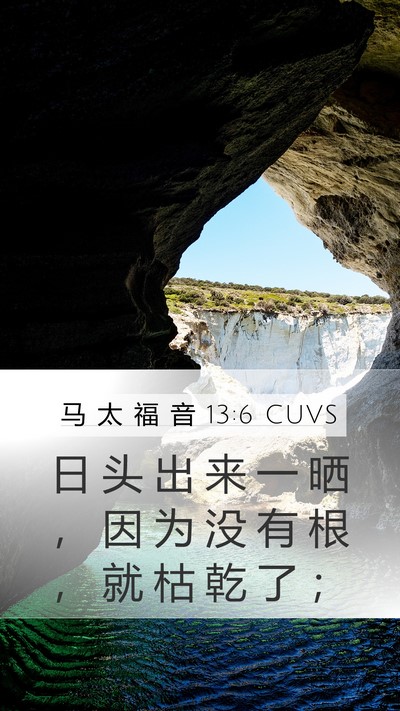 马 太 福 音 13:6 CUVS Bible Verse Image
