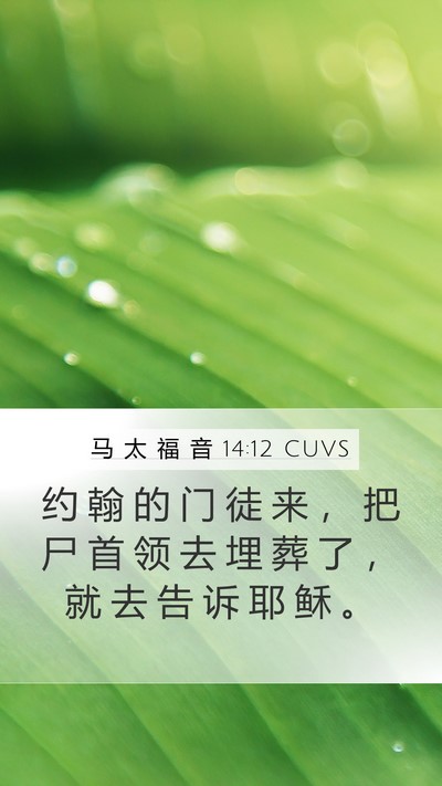 马 太 福 音 14:12 CUVS Mobile Phone Wallpaper - 约 翰 的 门 徒 来 ， 把 尸 首 领 去 - Mobile Bible Verse Wallpaper