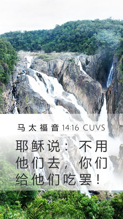 马 太 福 音 14:16 CUVS Bible Verse Image