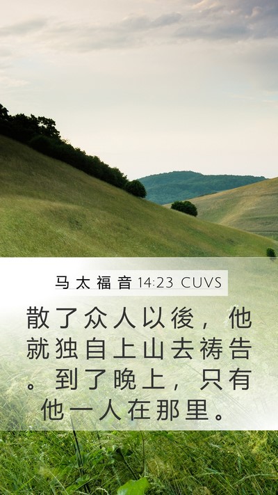 马 太 福 音 14:23 CUVS Bible Verse Image