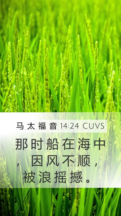 马 太 福 音 14:24 CUVS Mobile Phone Wallpaper - 那 时 船 在 海 中 ， 因 风 不 顺 ， - Mobile Bible Verse Wallpaper