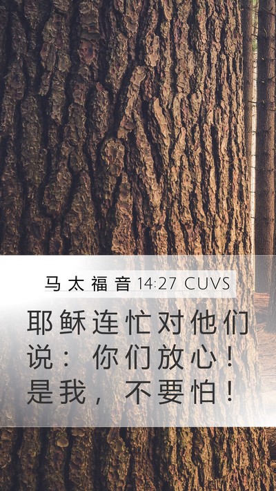 马 太 福 音 14:27 CUVS Bible Verse Image